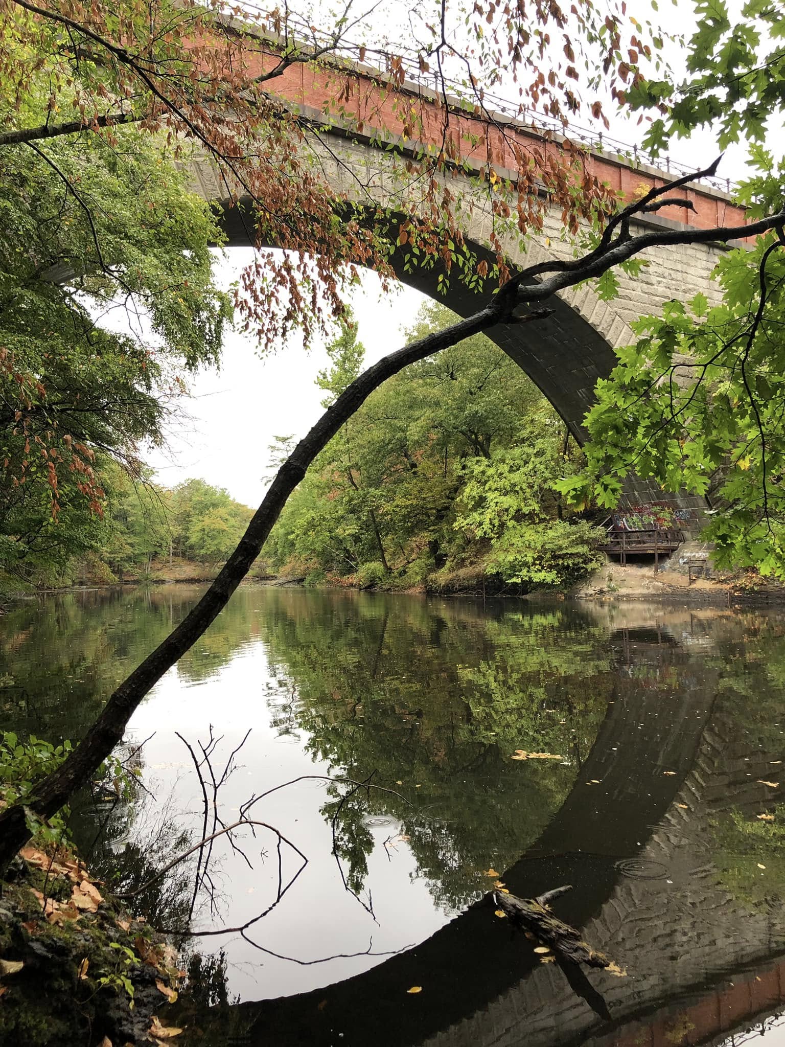 Living in Upper Falls, Newton: The Relocation & Logistics Handbook for Young Families