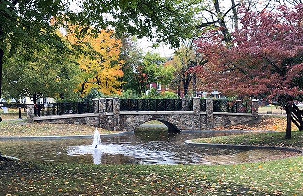 Living in Newton Corner: A Relocation & Logistics Handbook for Young Families
