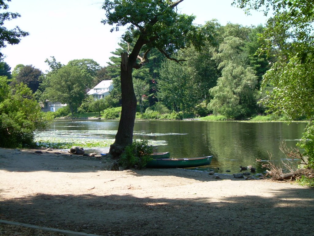 Living in Auburndale: The Relocation & Logistics Handbook for Young Families