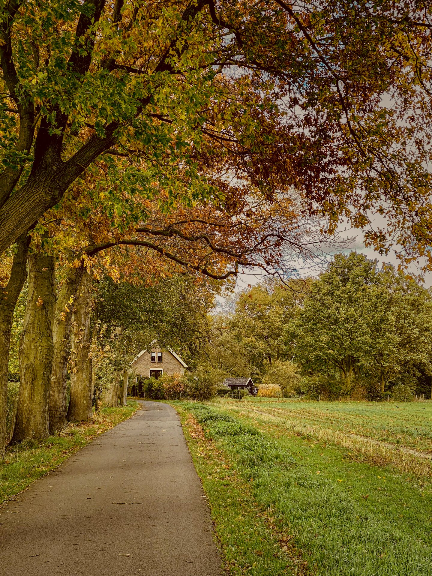 How we win—from first call to keys