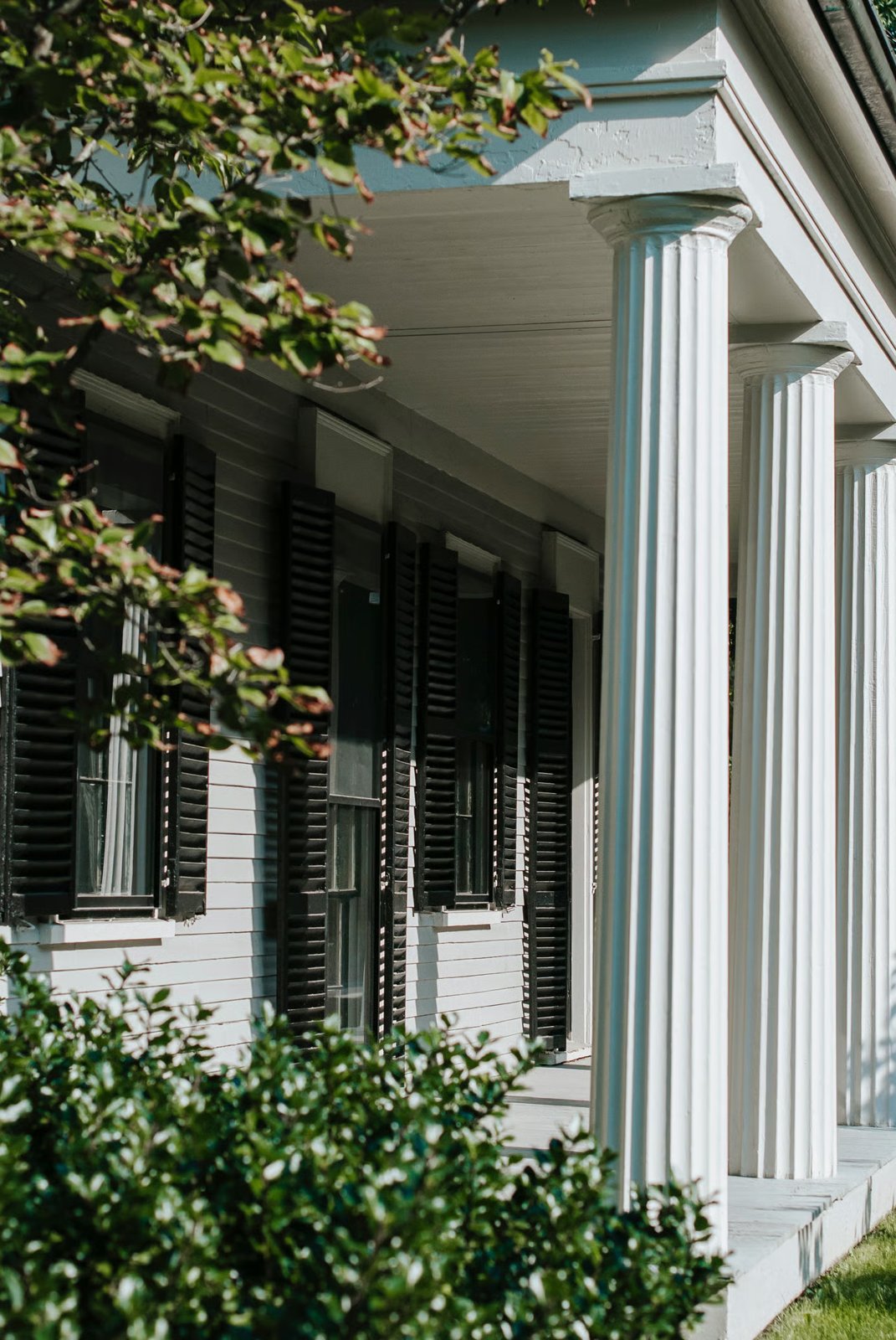 Home Search