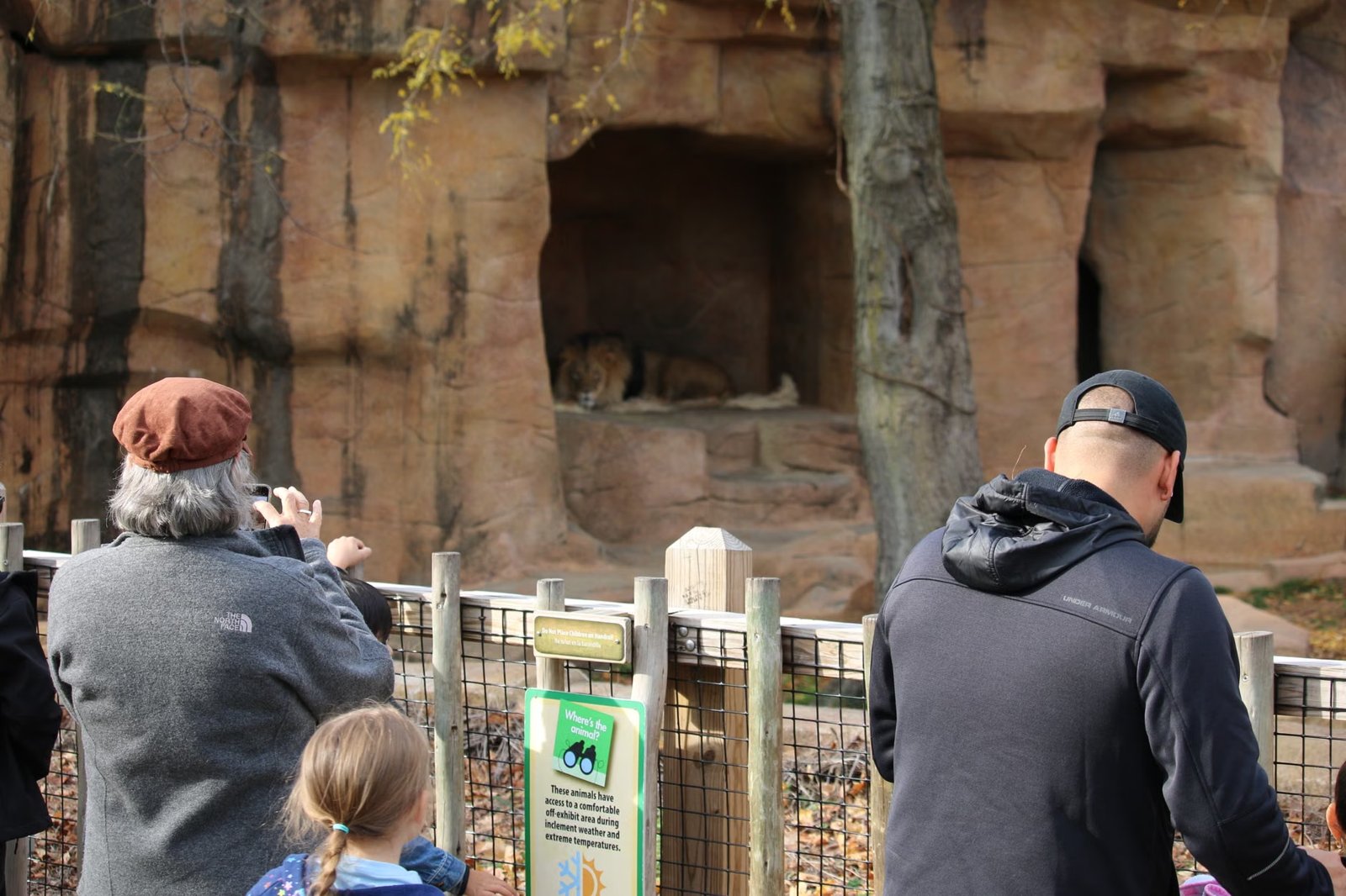 Family Adventure: Stone Zoo Animal Discovery