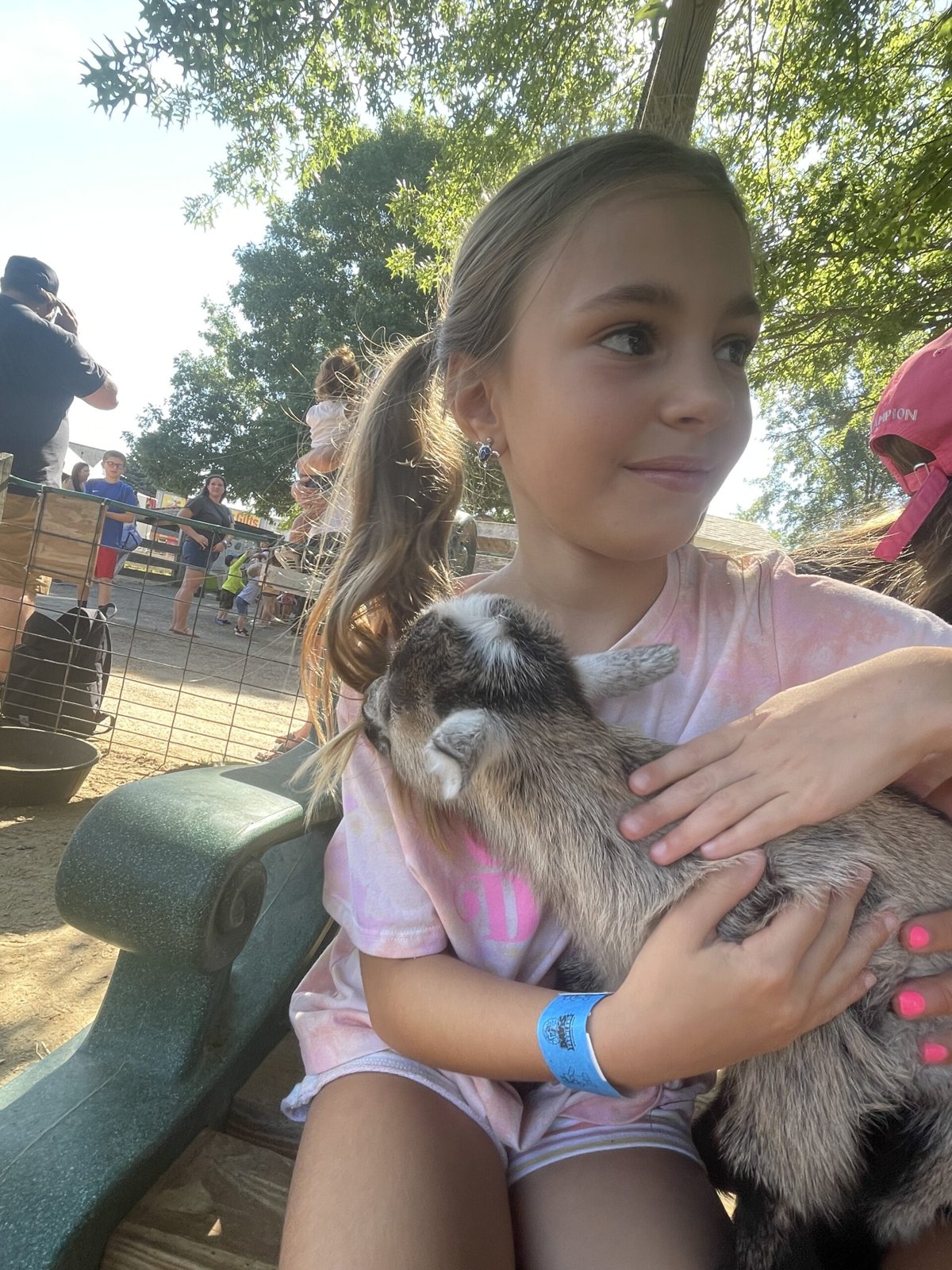Picnic and Play in the Park: Event Series