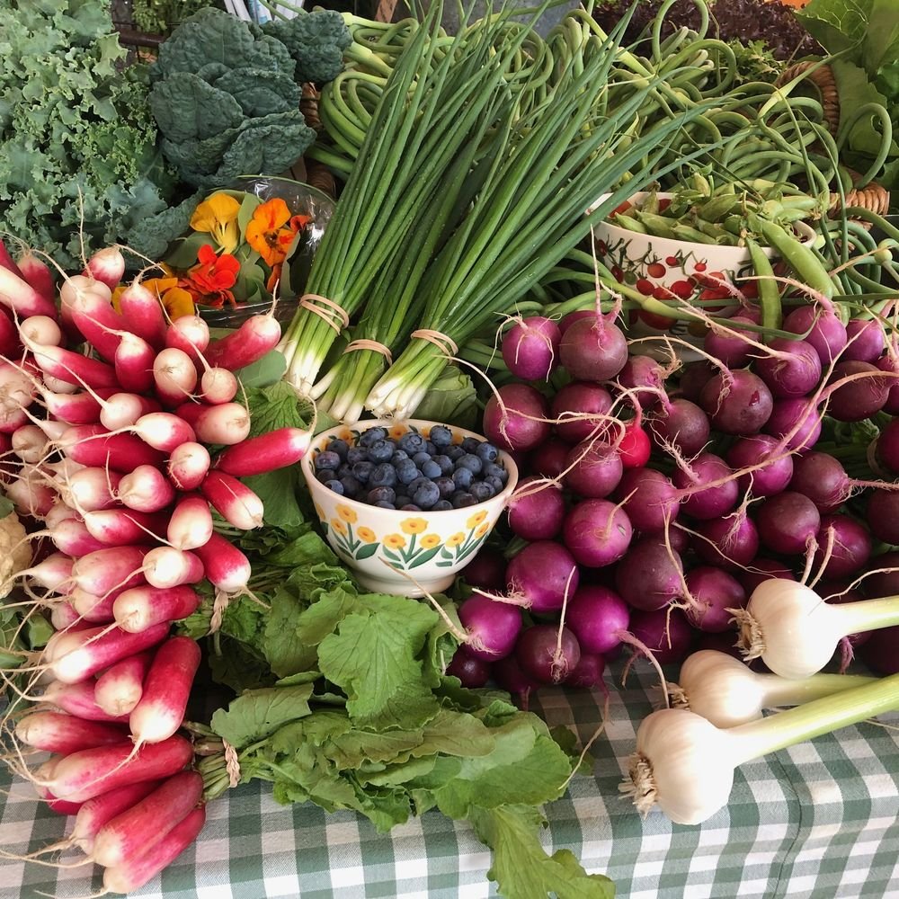 Daniels Farmstead Foundation Farmers Market