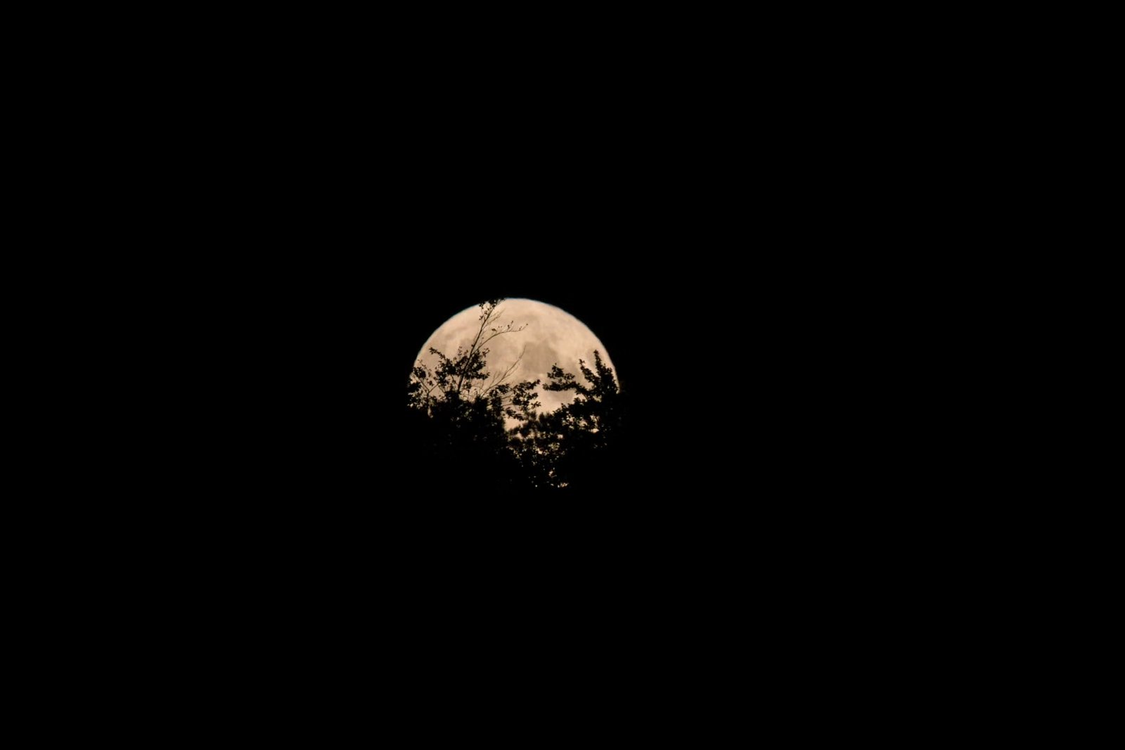 2026 Onset Harvest Moon Festival