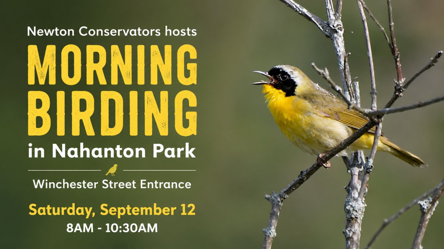 Morning Birding at Nahanton Park