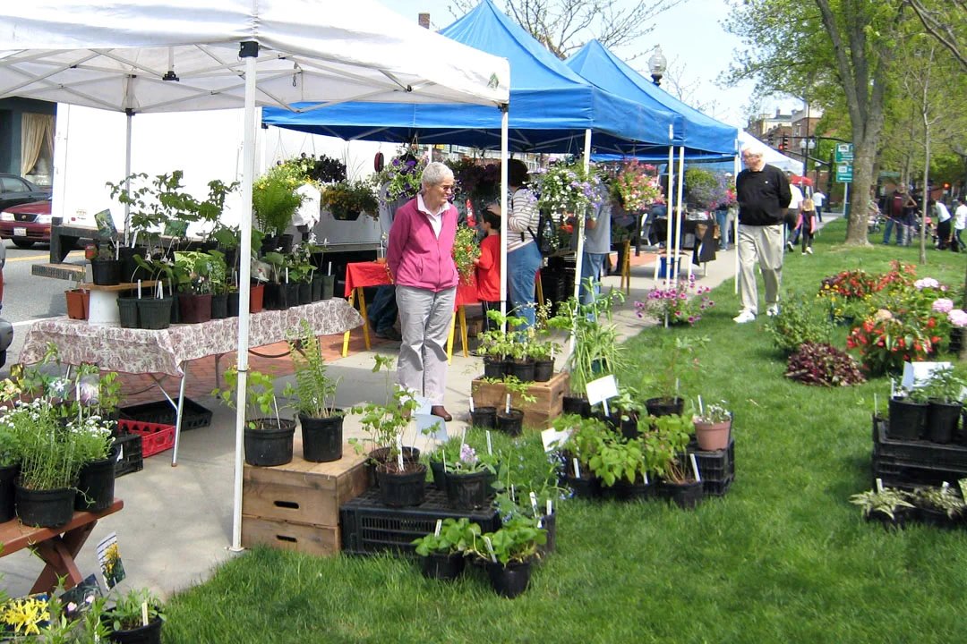 Natick Farmers Market