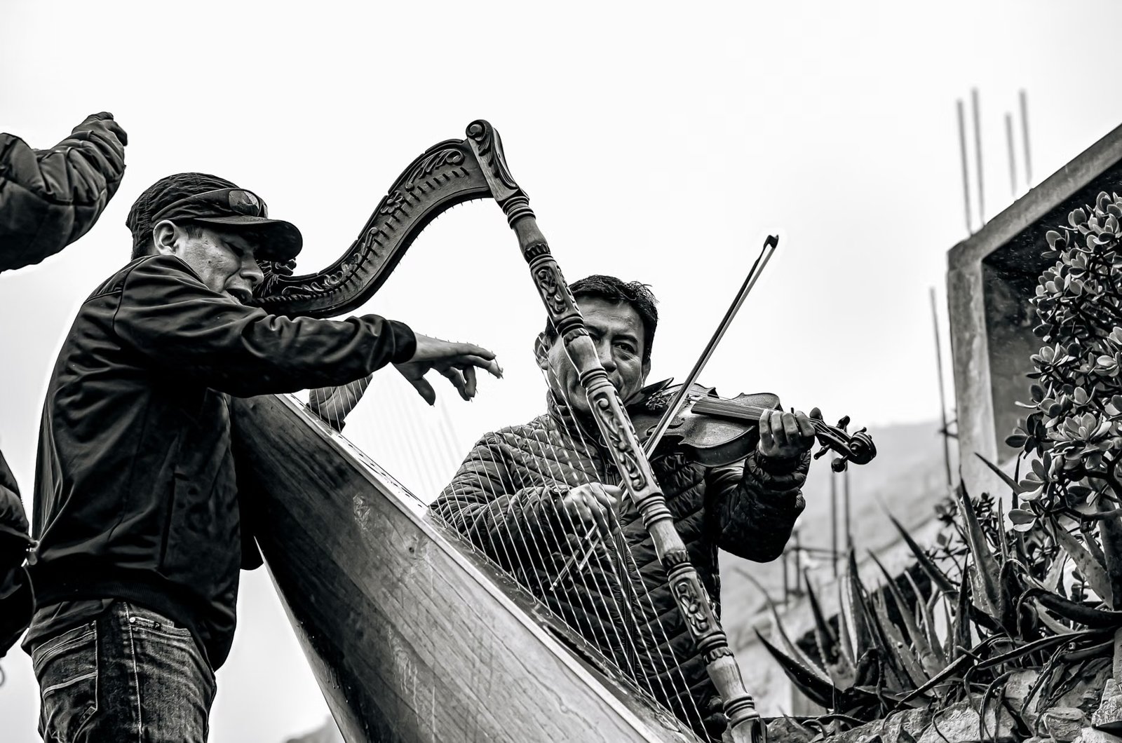 New England Irish Harp Orchestra Carriage House Concert