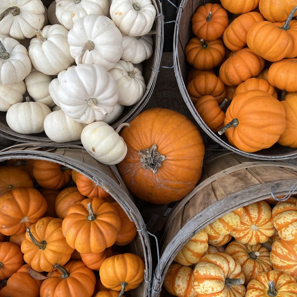 Newton Farmers Market (Saturdays)