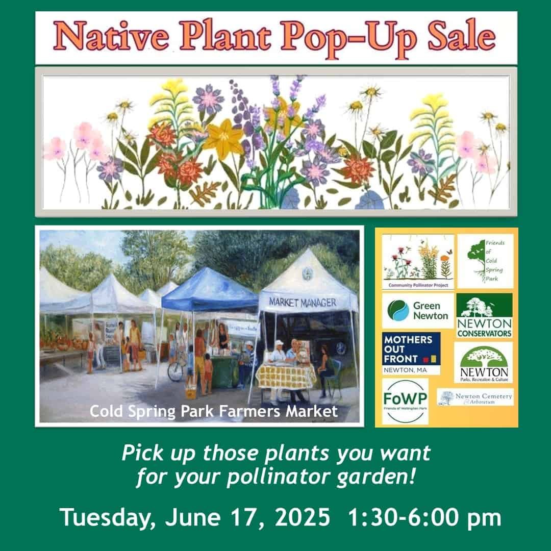 Newton Farmers Market