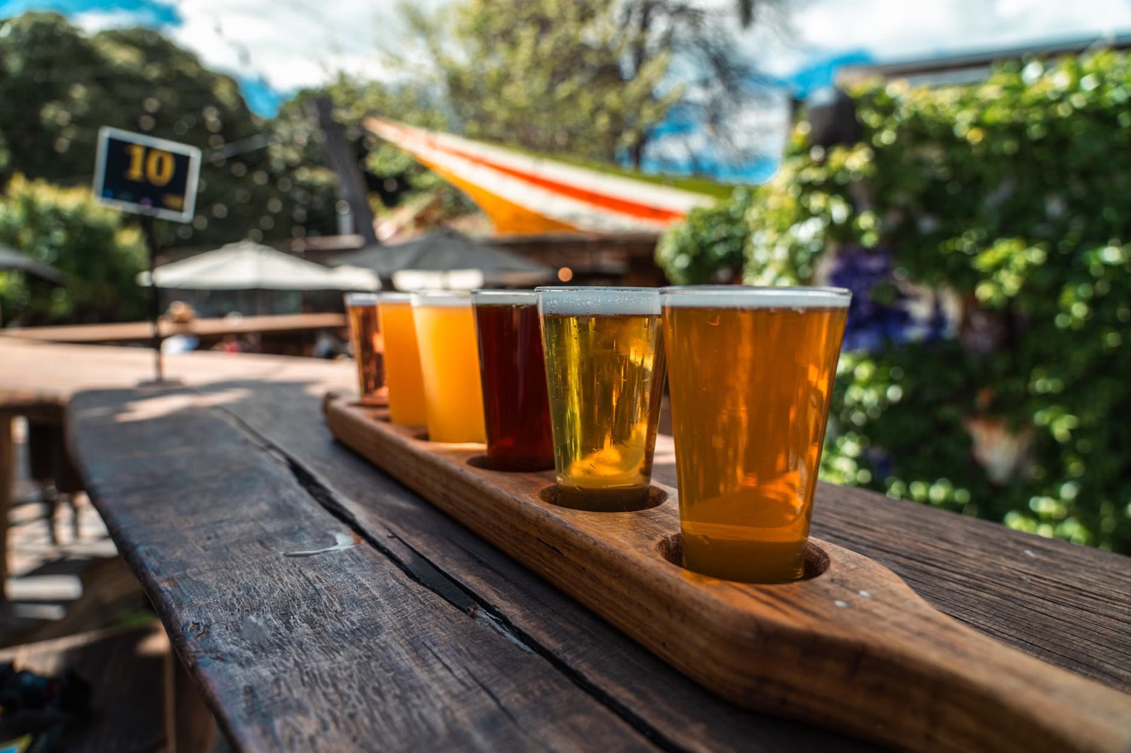 Summer Concert Series & Beer Garden