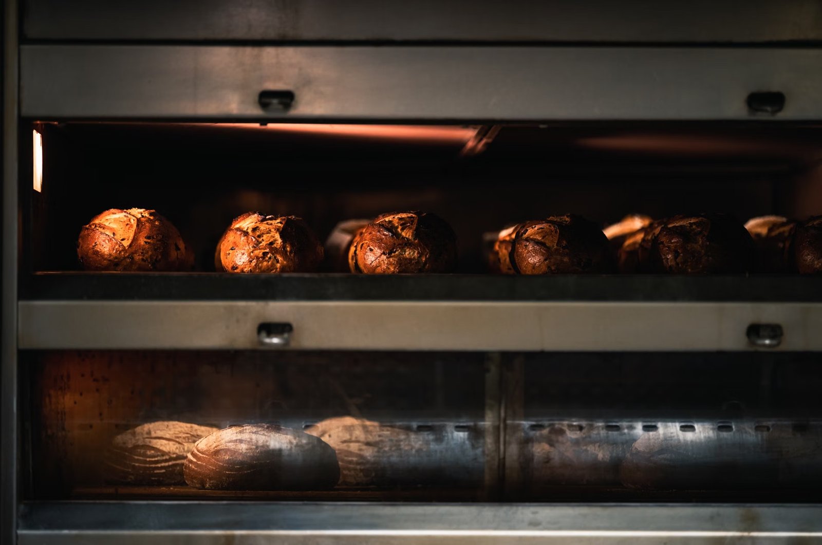 Iggy's Bread