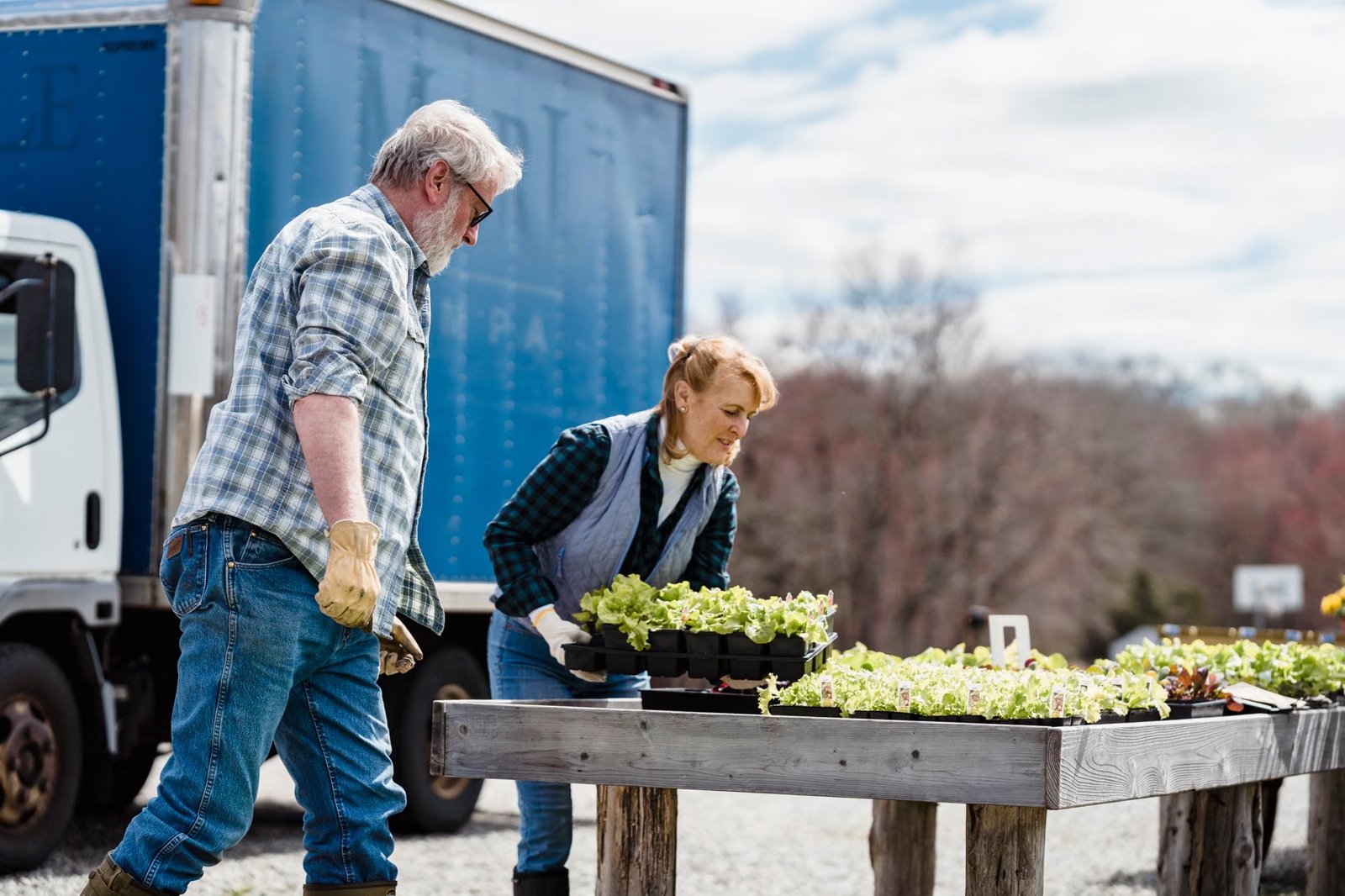 Natick Community Organic Farm