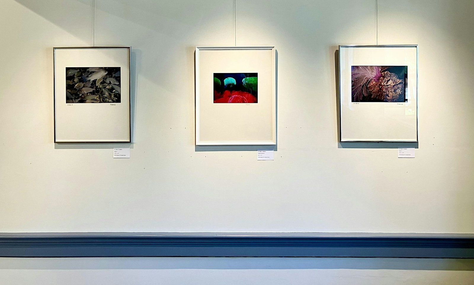 Reception for Dr. Albert R. Frederick: A Retrospective