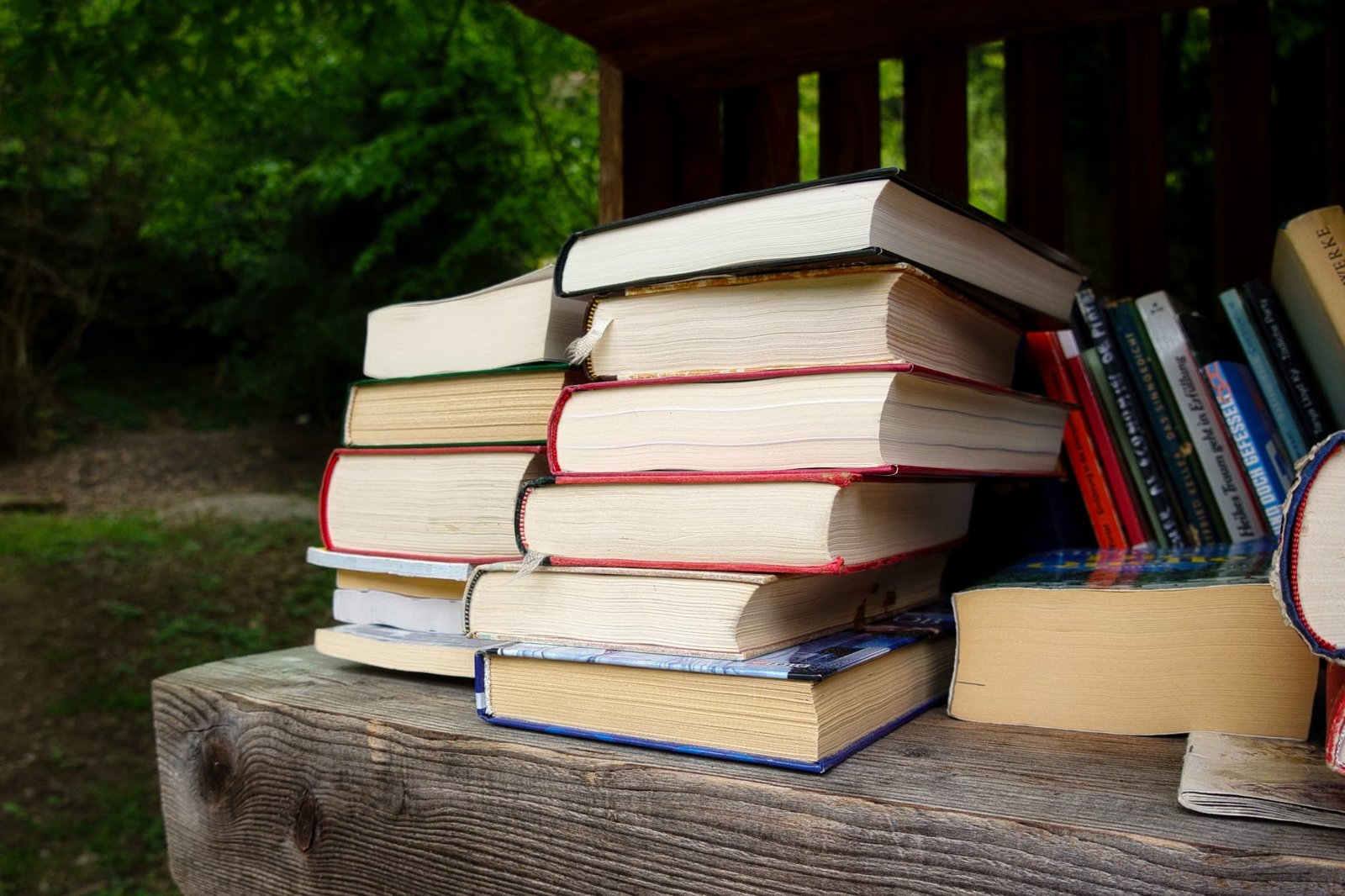 October Book Club: ‘Wild Dark Shore' by Charlotte McConaghy