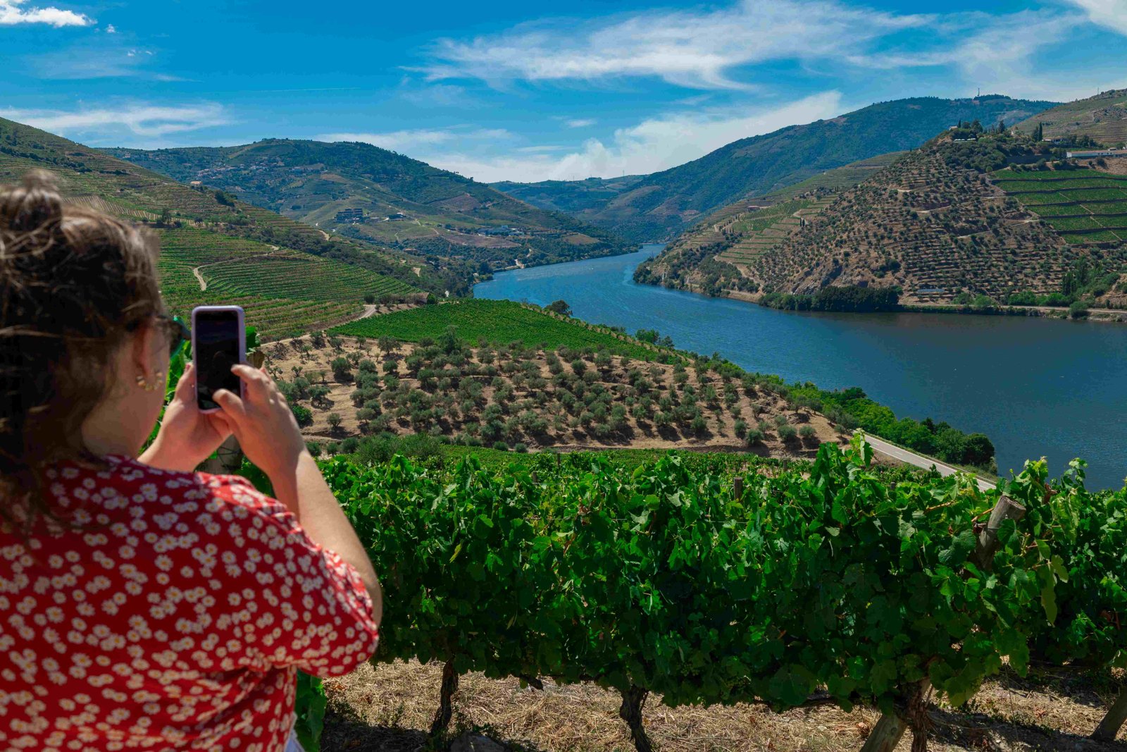 Vineyard Voyages — Floating Wine Tasting 2026