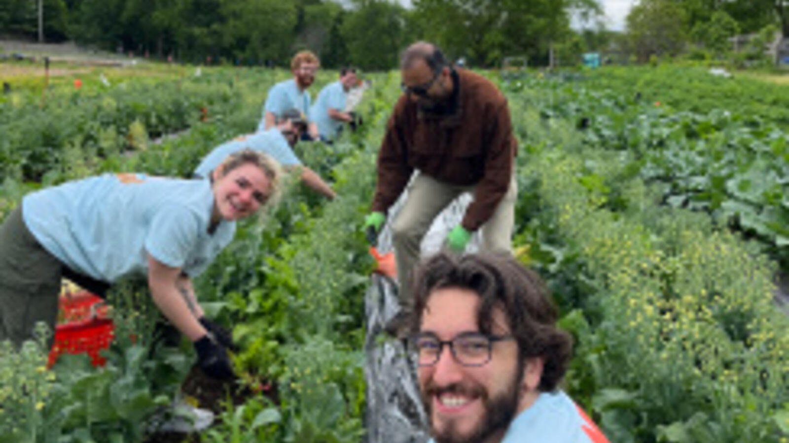 Lexington Community Farm