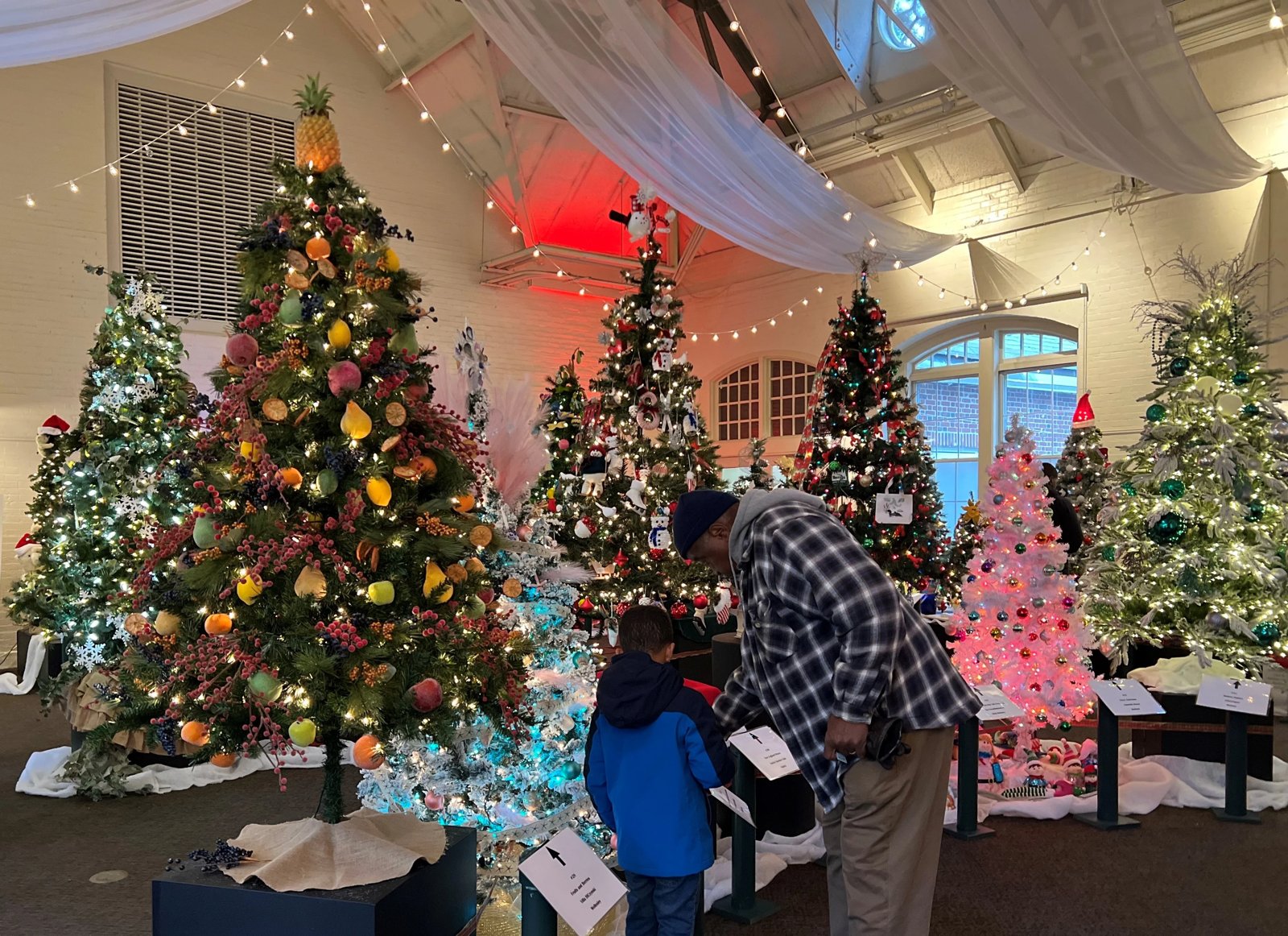 Festival of Trees
