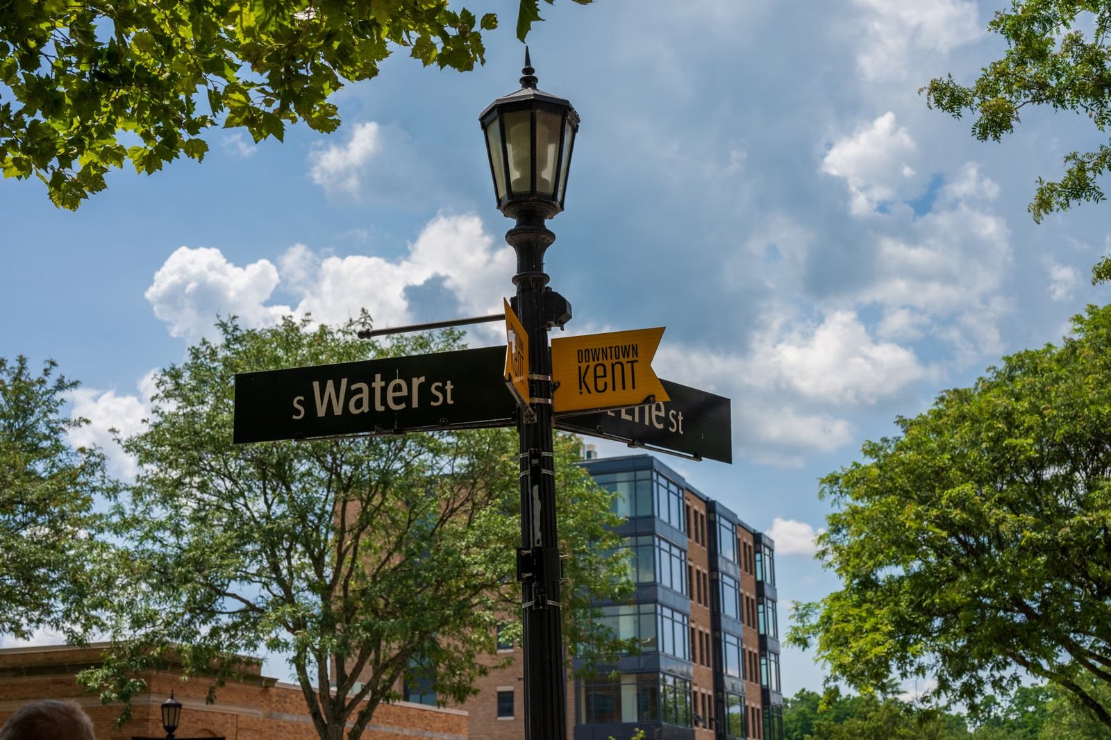 Ward 4