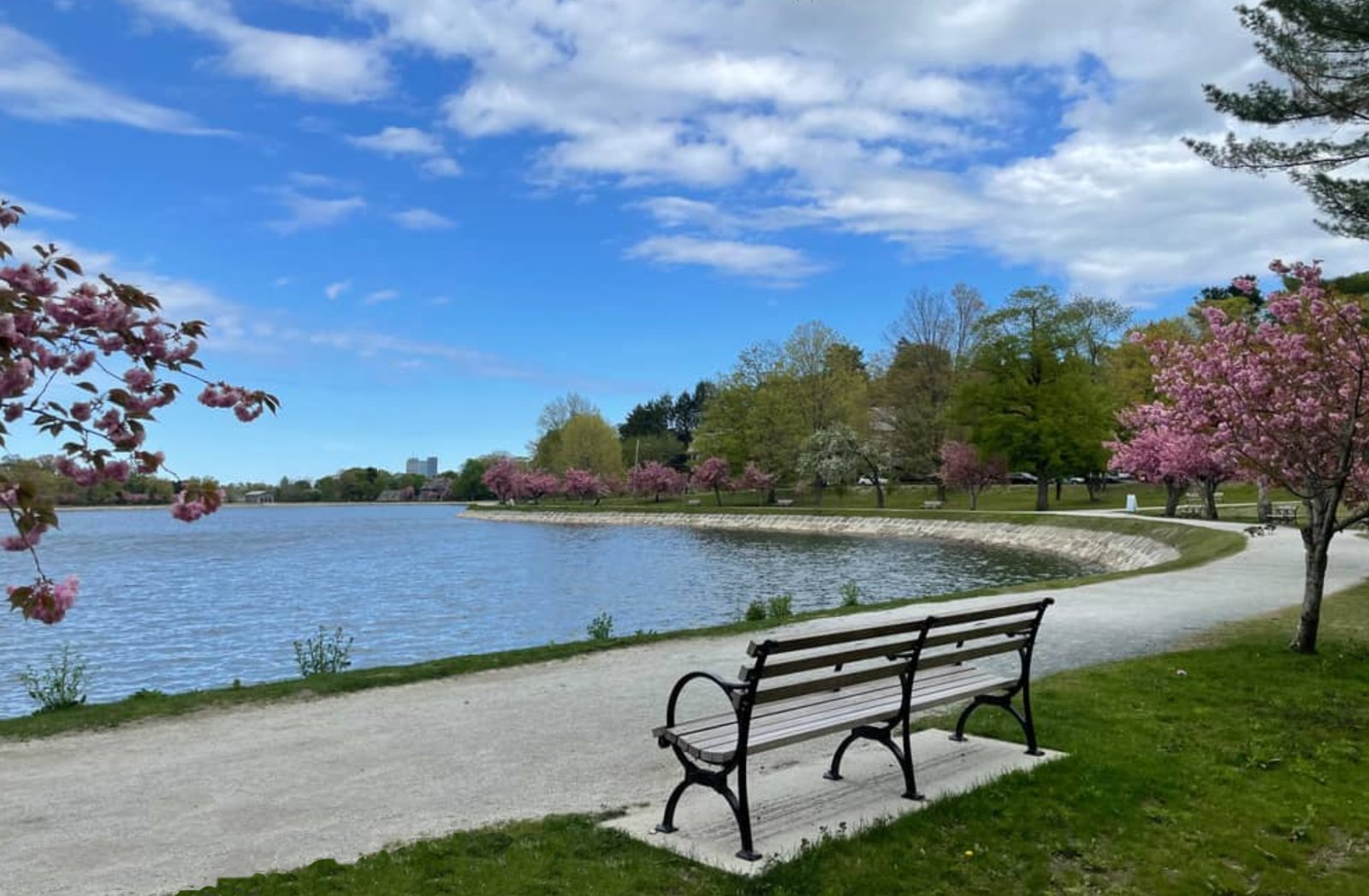 Brookline Reservoir Park