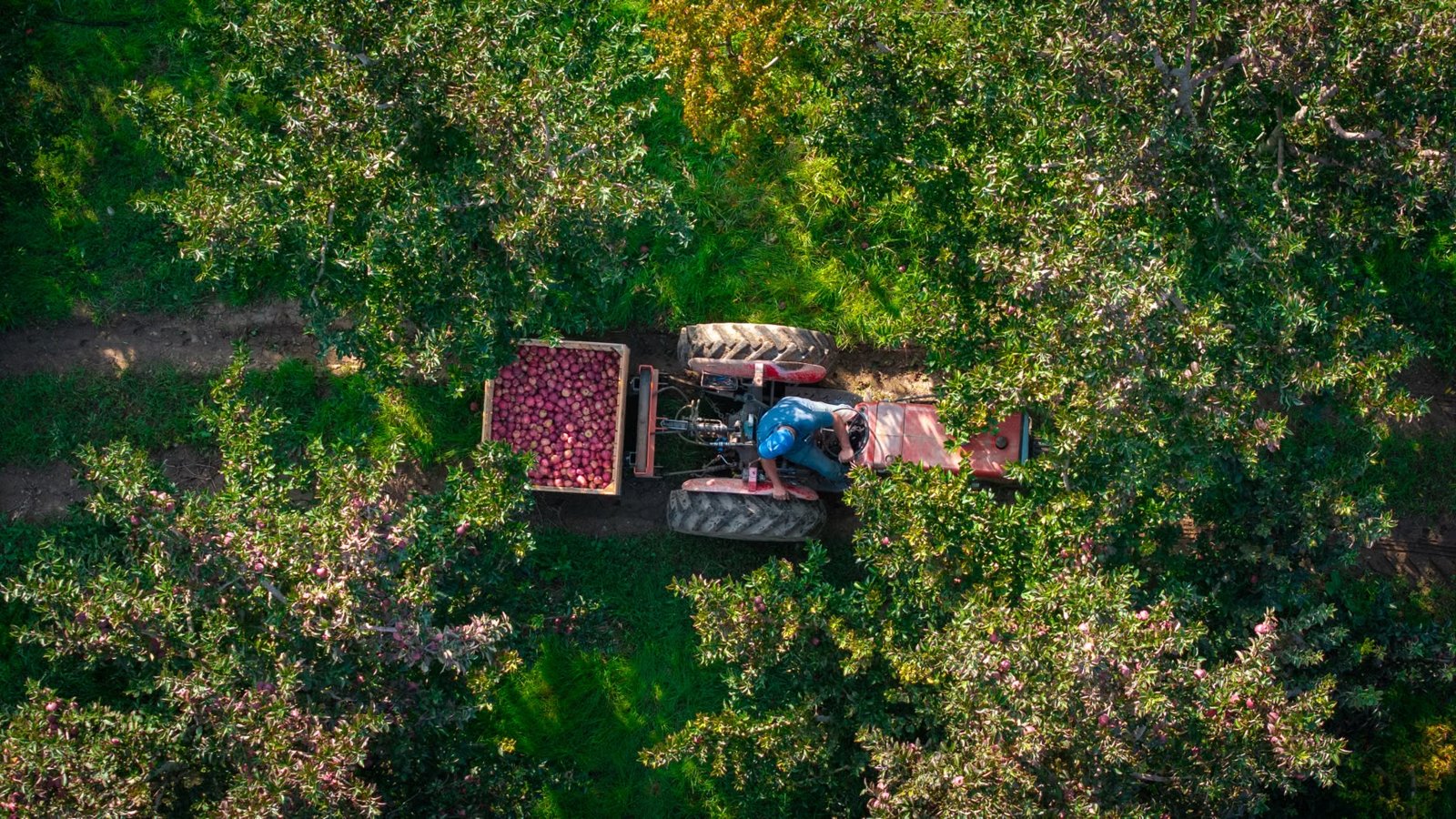 Dowse Orchards Farm Stand