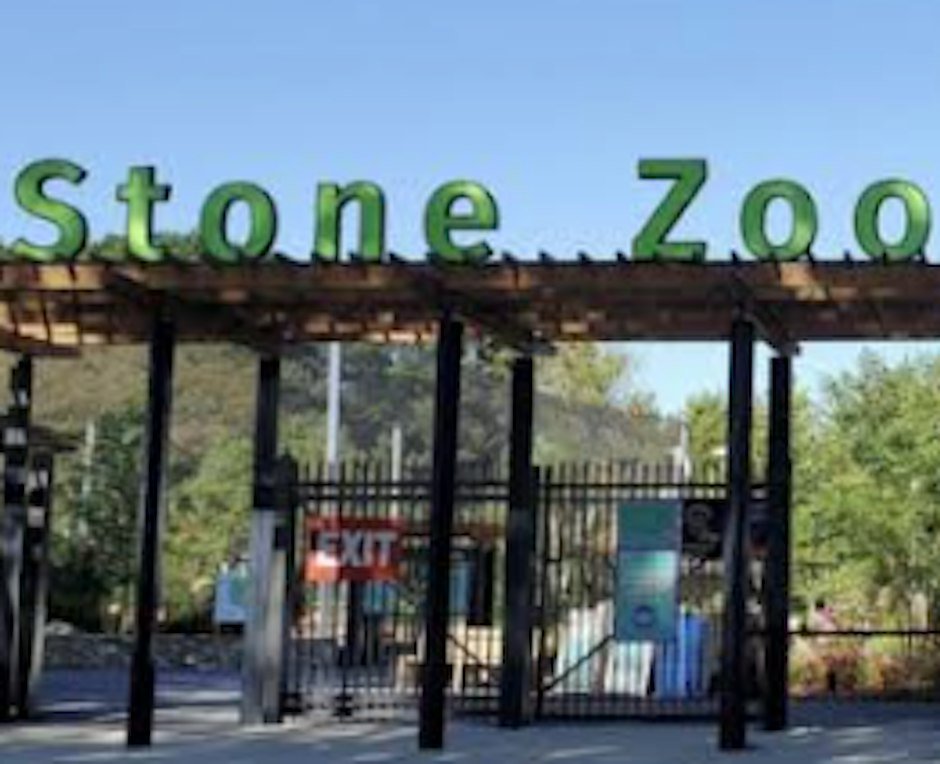 Family Adventure: Stone Zoo Animal Discovery