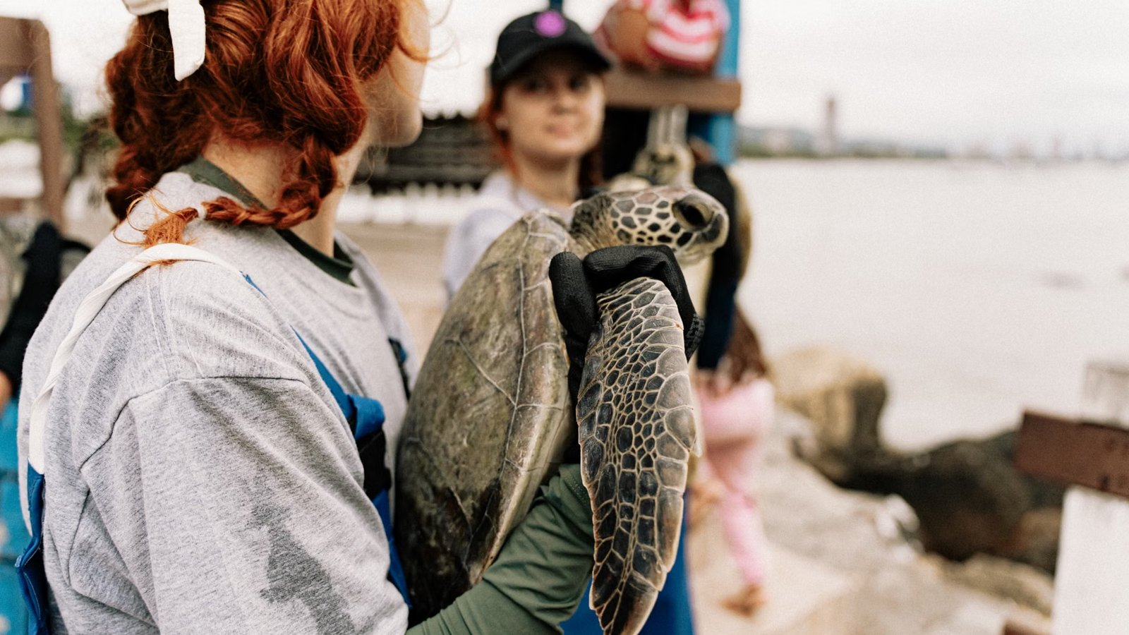 Invasive Species Volunteer Days