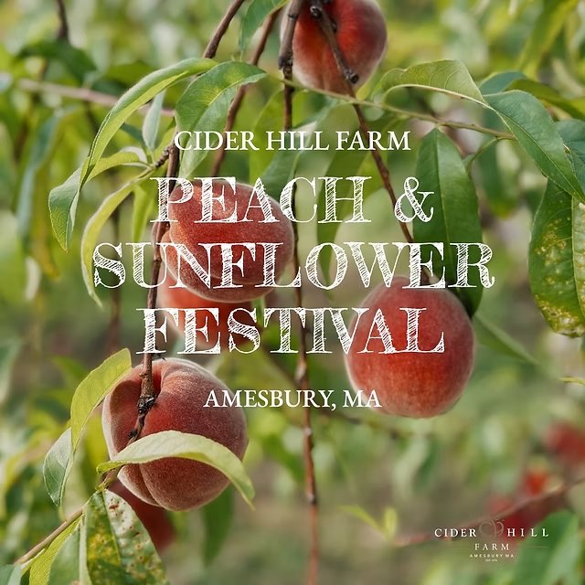 Peach & Sunflower Festival - August 8-9 & 15-16