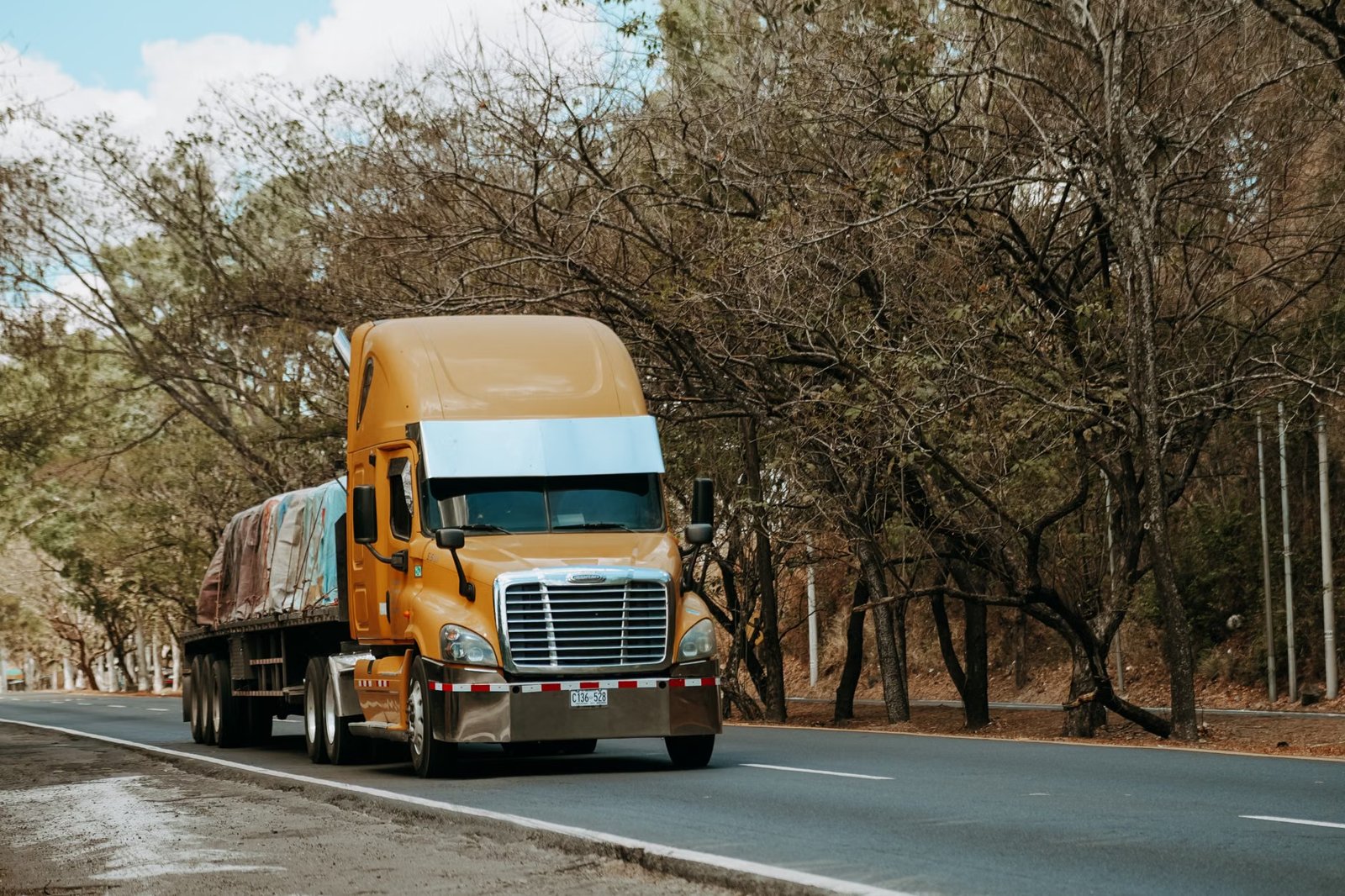 Touch a Truck