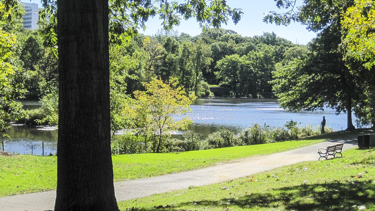 Olmsted Park