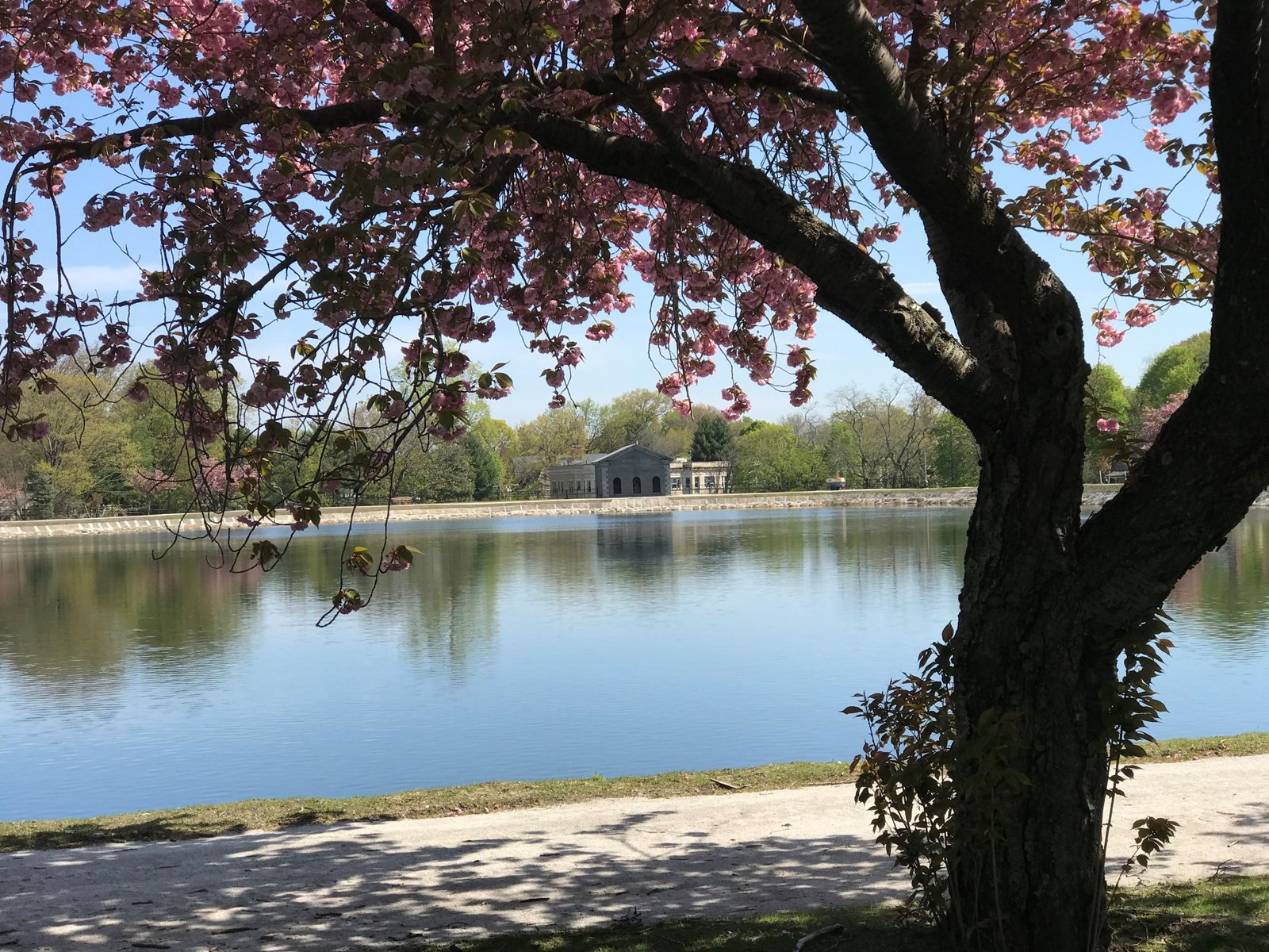 Brookline Reservoir Park
