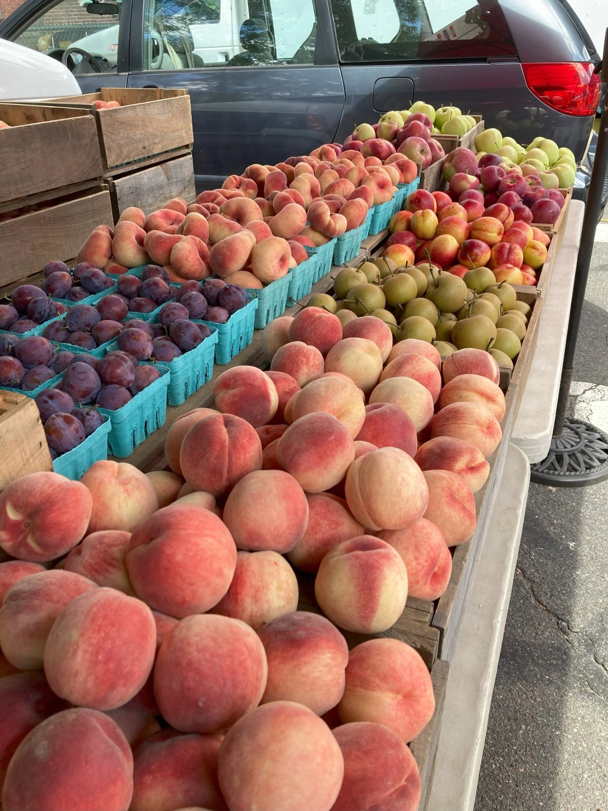 Brookline Farmers' Market