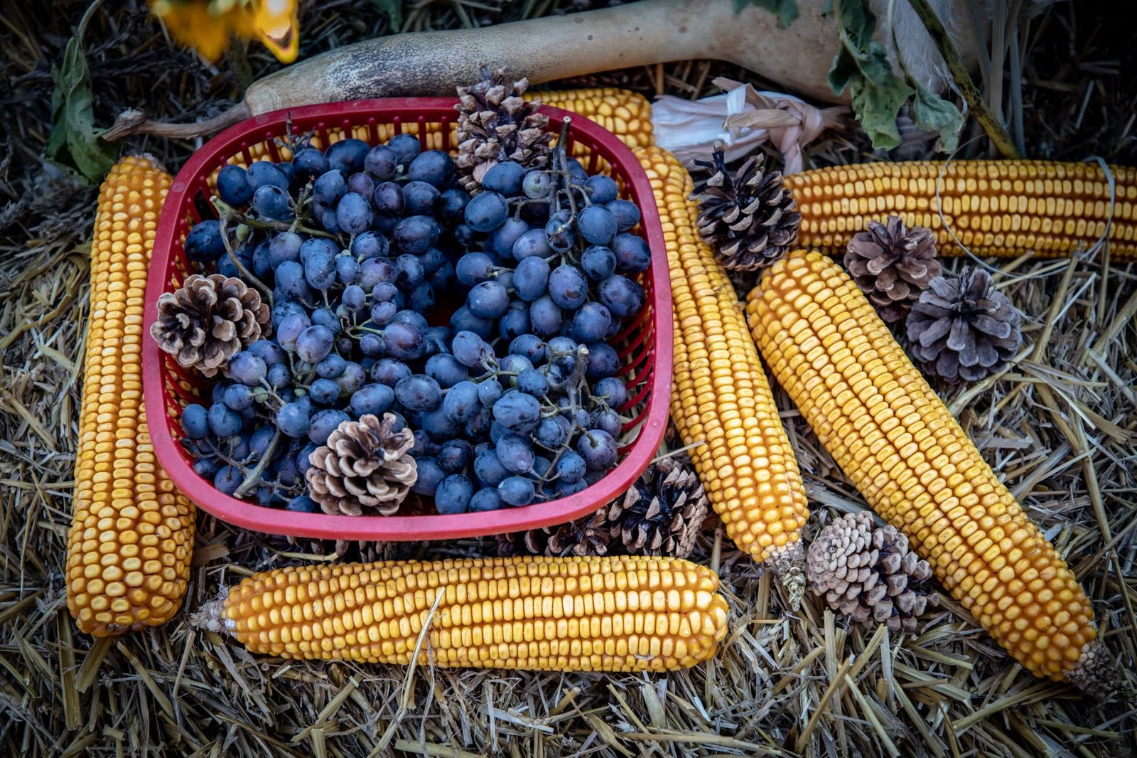 Autumn Harvest Weekend