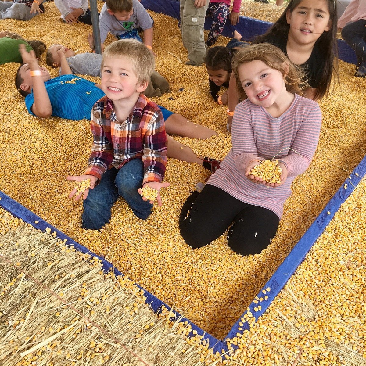 Sauchuk's Corn Maze & Pumpkin Patch