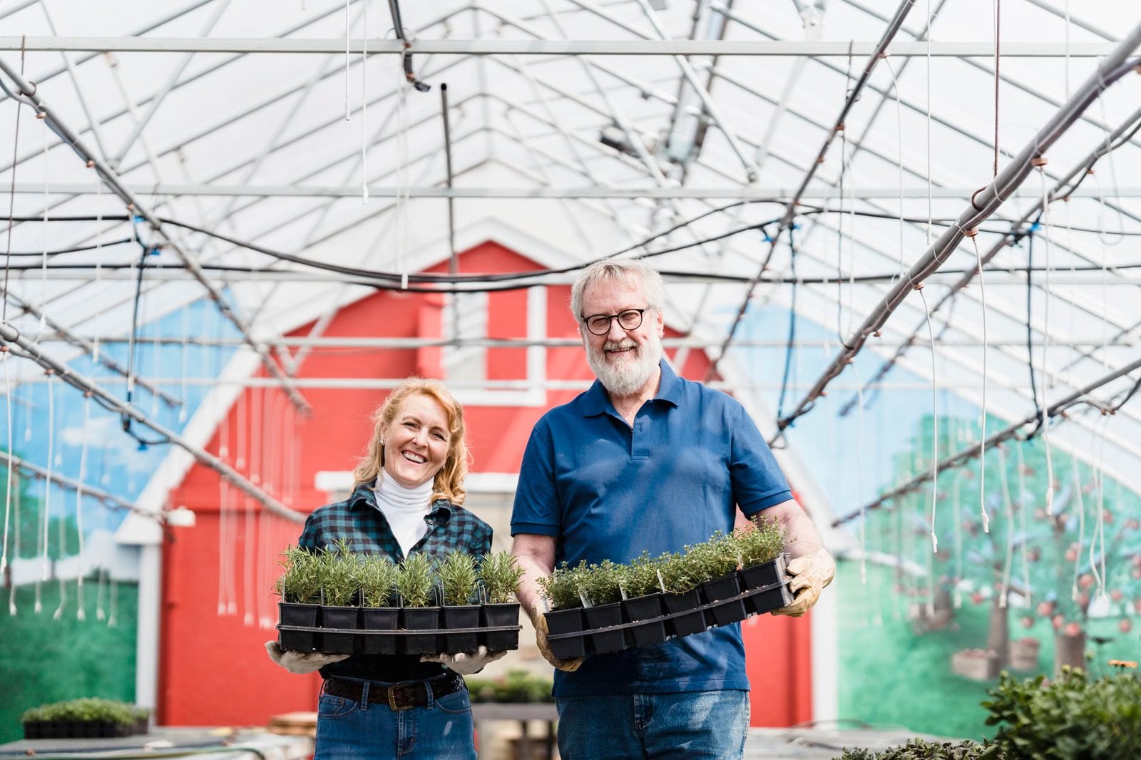 Rebel Sprouts at Brighton Farmers Market