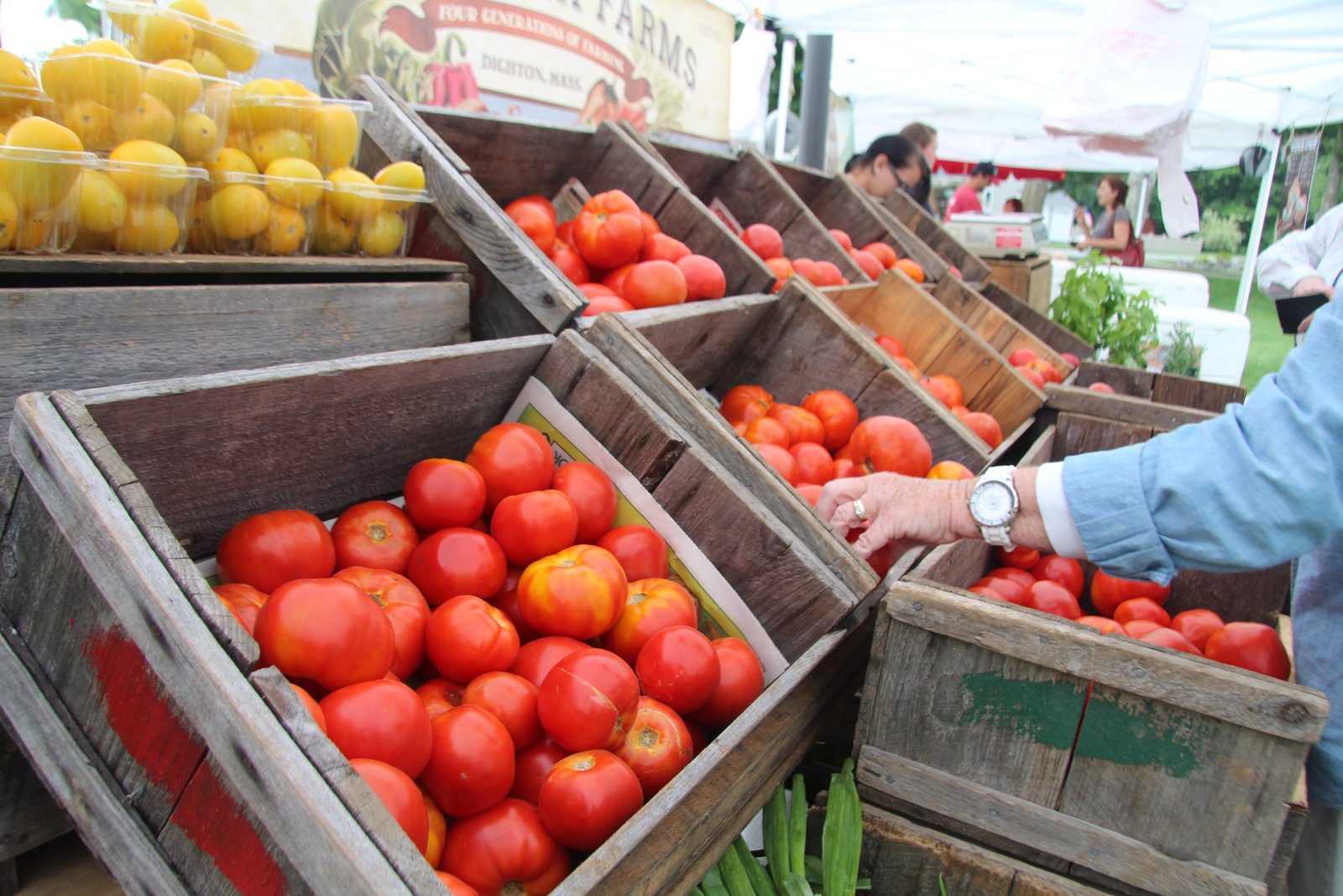 Westwood Farmers' Market
