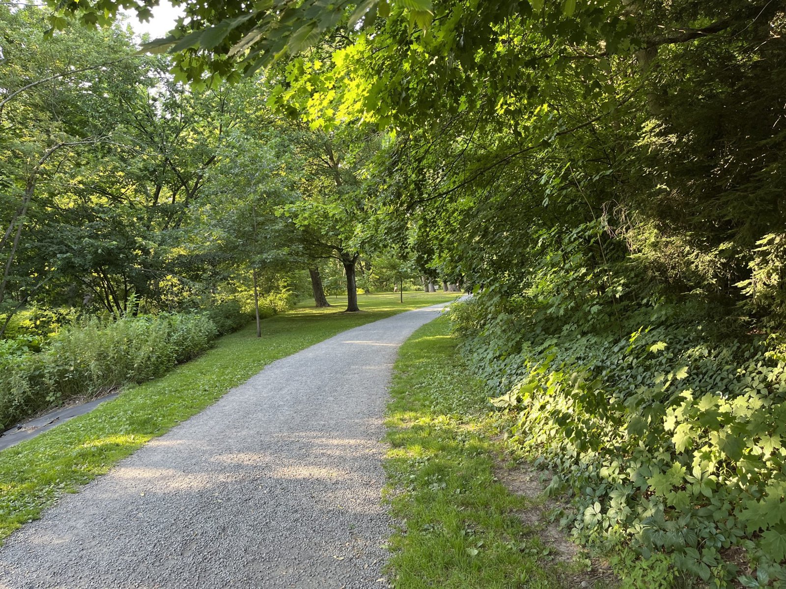 Walk with a Doc, sponsored by Olive Tree Medical