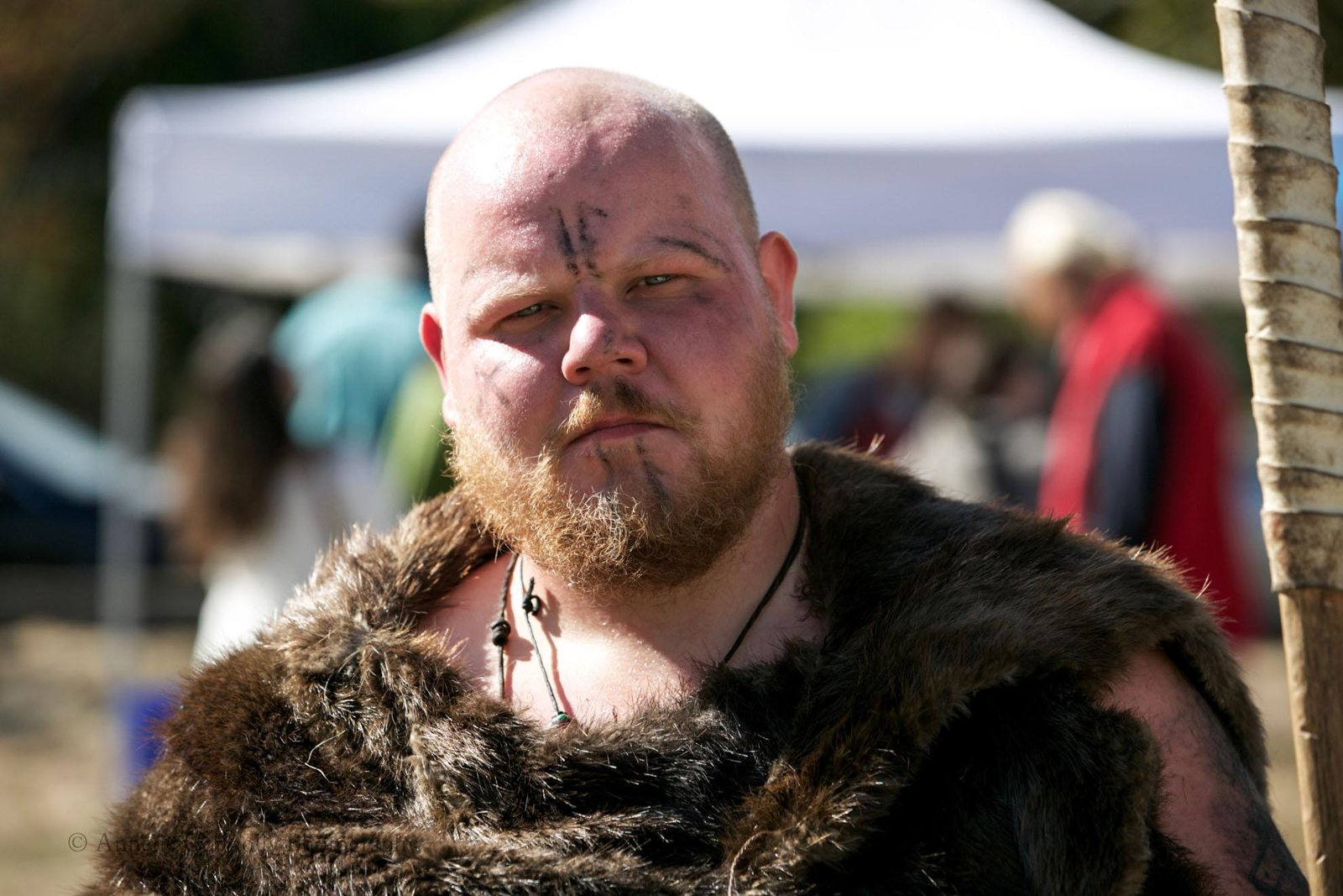 Berserk: A Viking Festival for All Ages