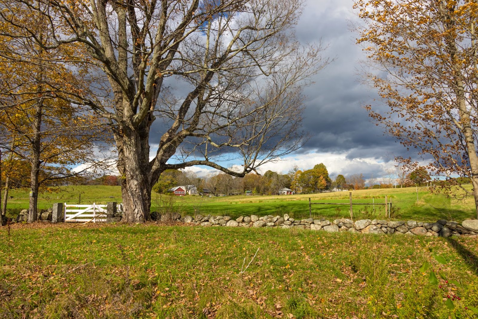 Sweet Meadow Farm