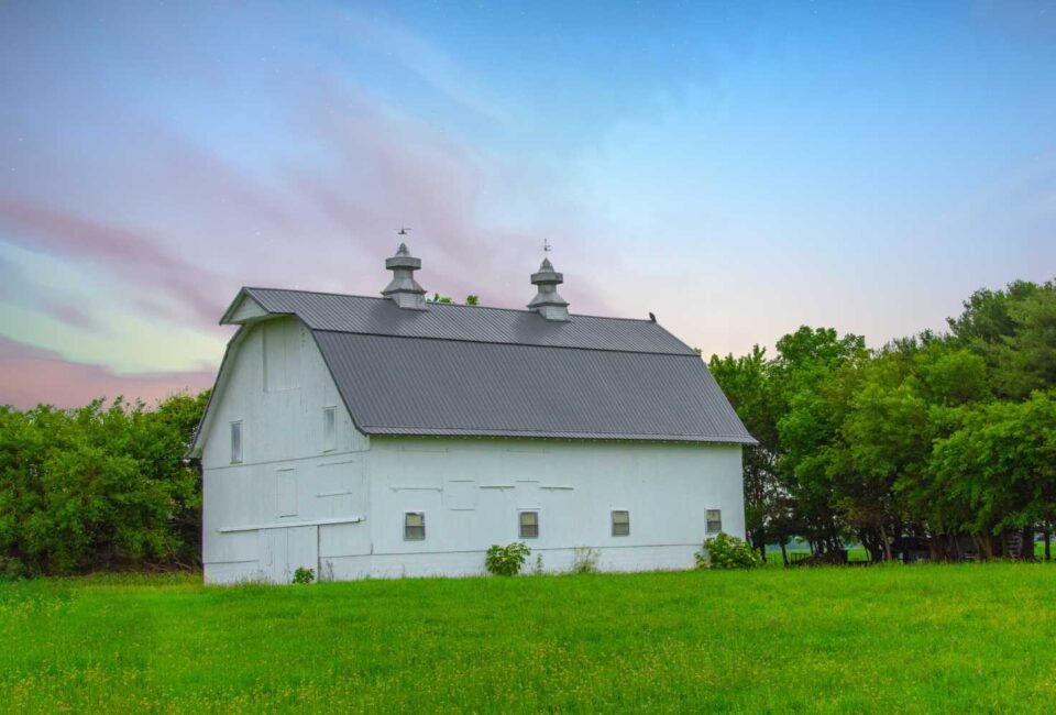 White Barn Farm