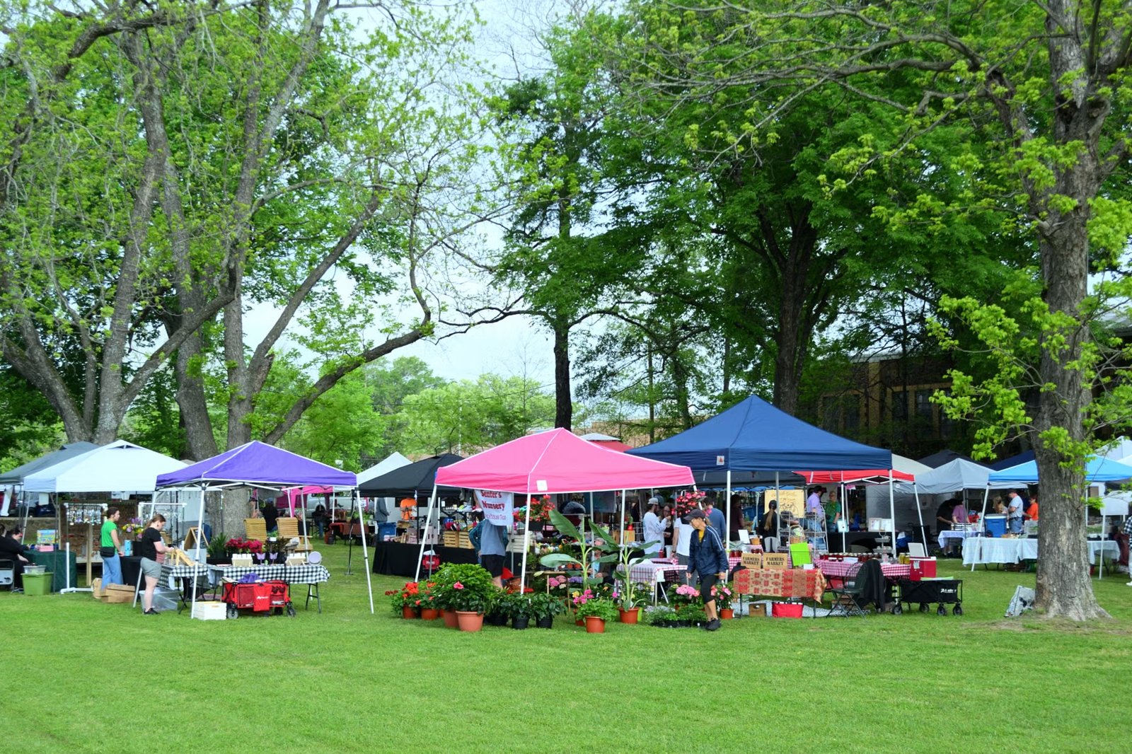 Dedham Winter & Spring Farmers Markets