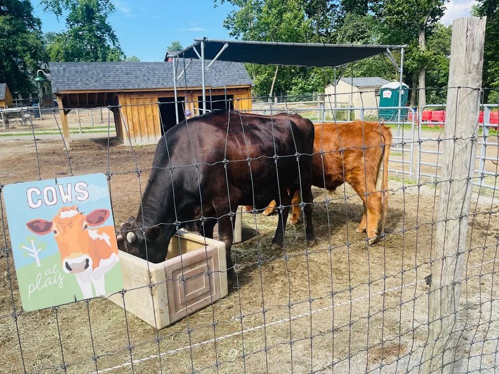 Unity Farm Sanctuary