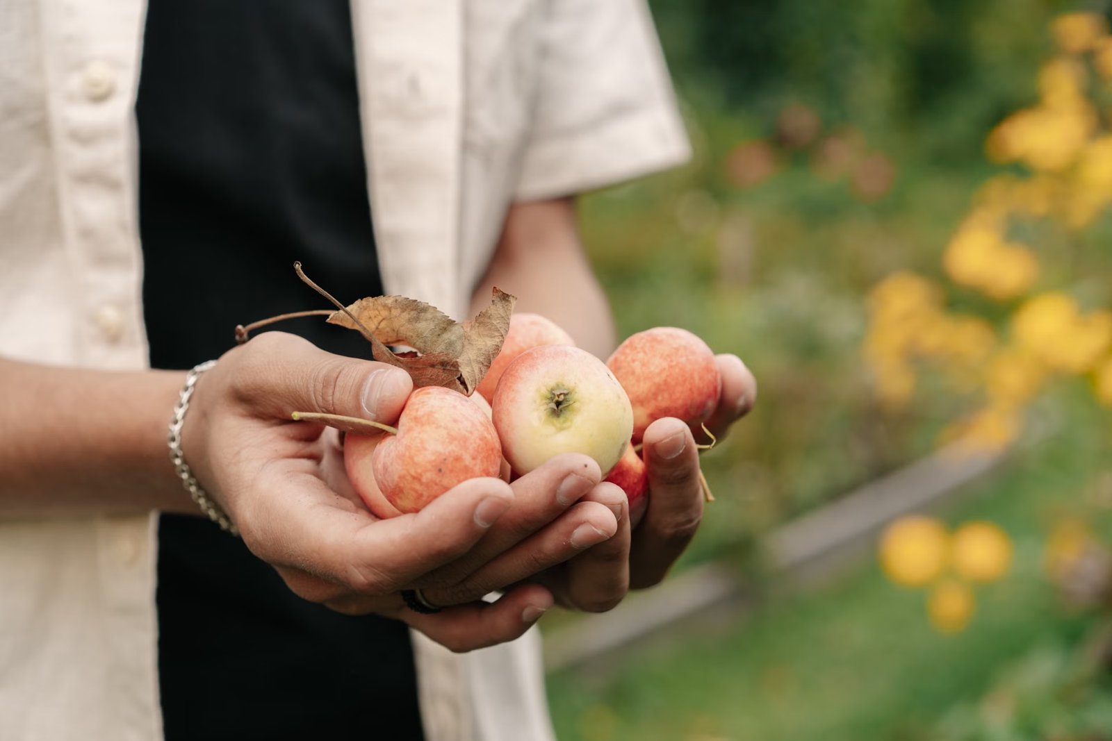 Pick Your Own Apples and Pumpkins