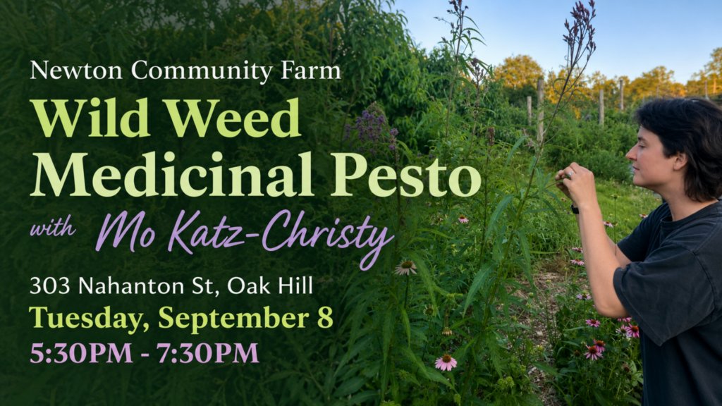 Wild Weed Medicinal Pesto