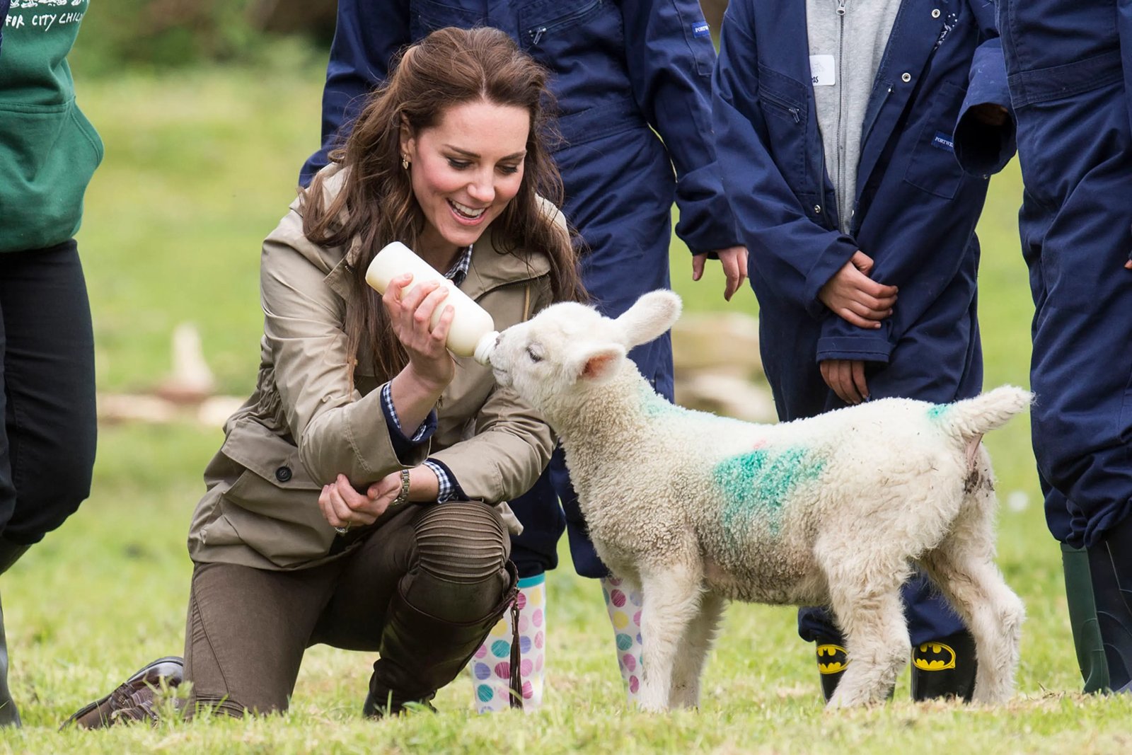 Visit the Farm Animals