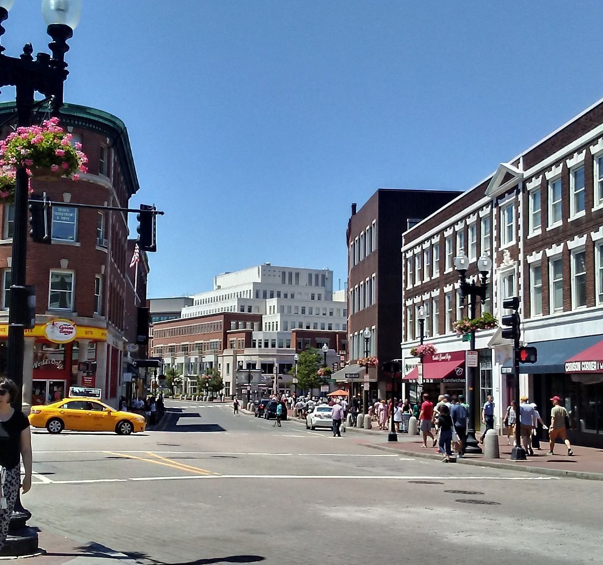 Harvard Square Chocolate Tour