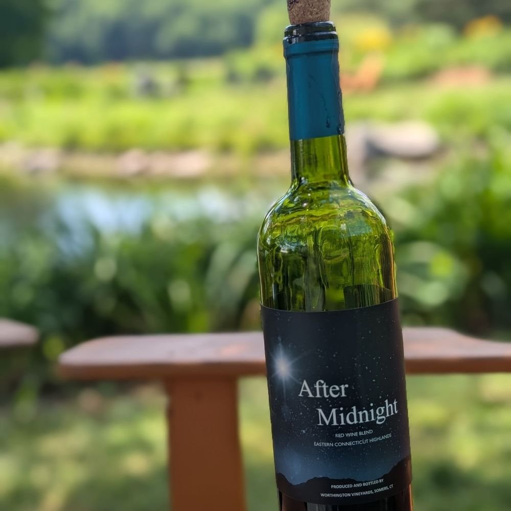 Free Wine Tasting - Vinodivino Newton