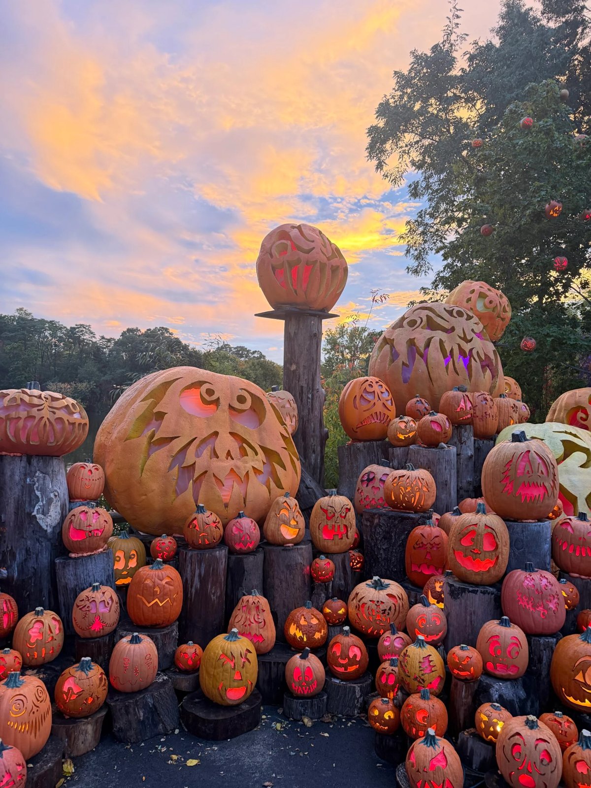 Jack-O-Lantern Spectacular 2026