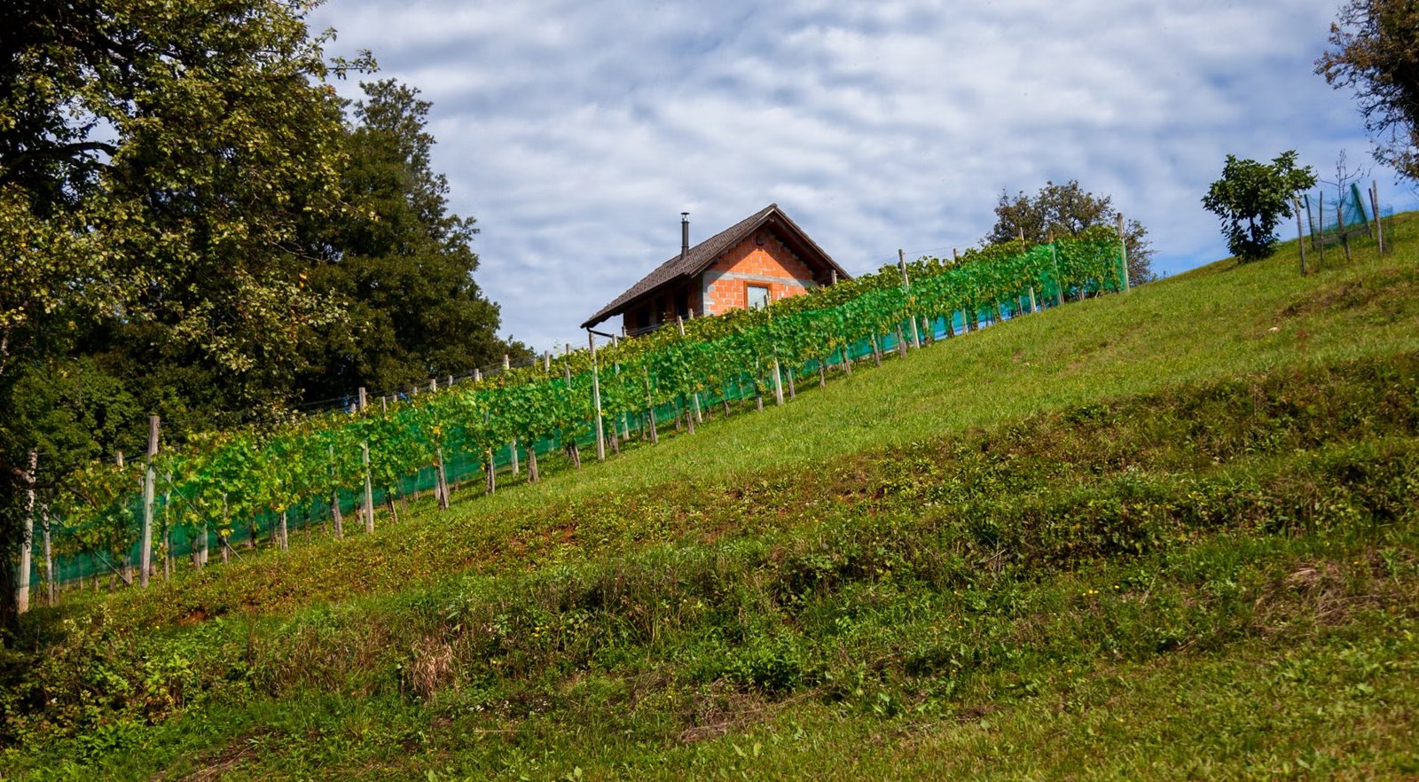 Come Over October At Averill House Vineyard, An All-inclusive Event