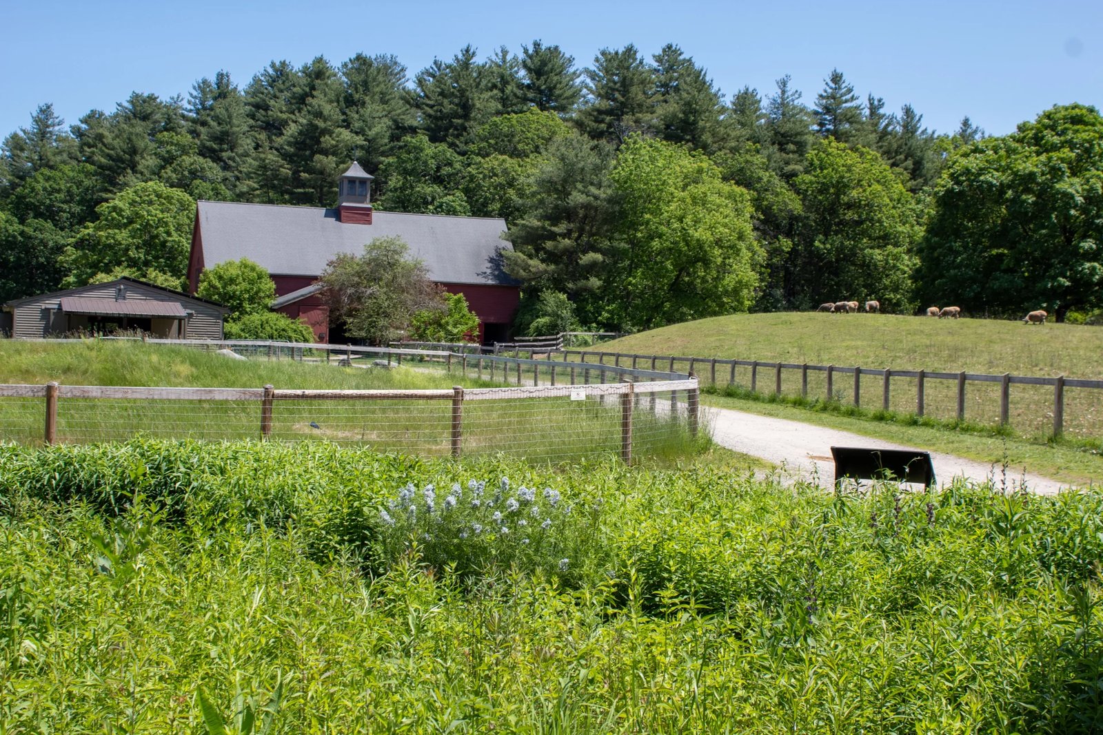 Mass Audubon's Drumlin Farm Wildlife Sanctuary